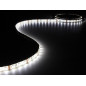 FLEXIBLE LED - BLANC NEUTRE - 300 LED - 5 m - 12 V
