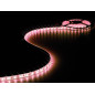 FLEXIBLE LED - RGB - 300 LED - 5 m - 12 V