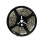 FLEXIBLE LED - BLANC CHAUD - 300 LED - 5 m - 12 V