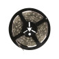 FLEXIBLE LED - BLANC NEUTRE - 600 LED - 5 m - 24 V FLEXIBLE LED - BLANC NEUTRE - 600 LED - 5 m - 24 V