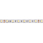 FLEXIBLE LED - BLANC FROID - 300 LEDs - 5 m - 24 V