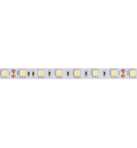 FLEXIBLE LED - BLANC FROID - 300 LEDs - 5 m - 24 V - Velleman
