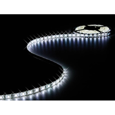 FLEXIBLE LED - BLANC FROID - 300 LEDs - 5 m - 24 V