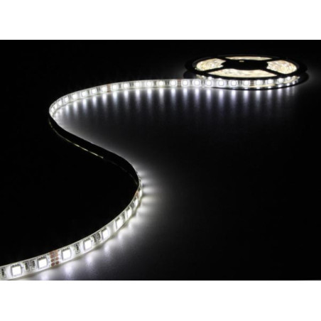 FLEXIBLE LED - BLANC NEUTRE - 300 LED - 5 m - 24 V