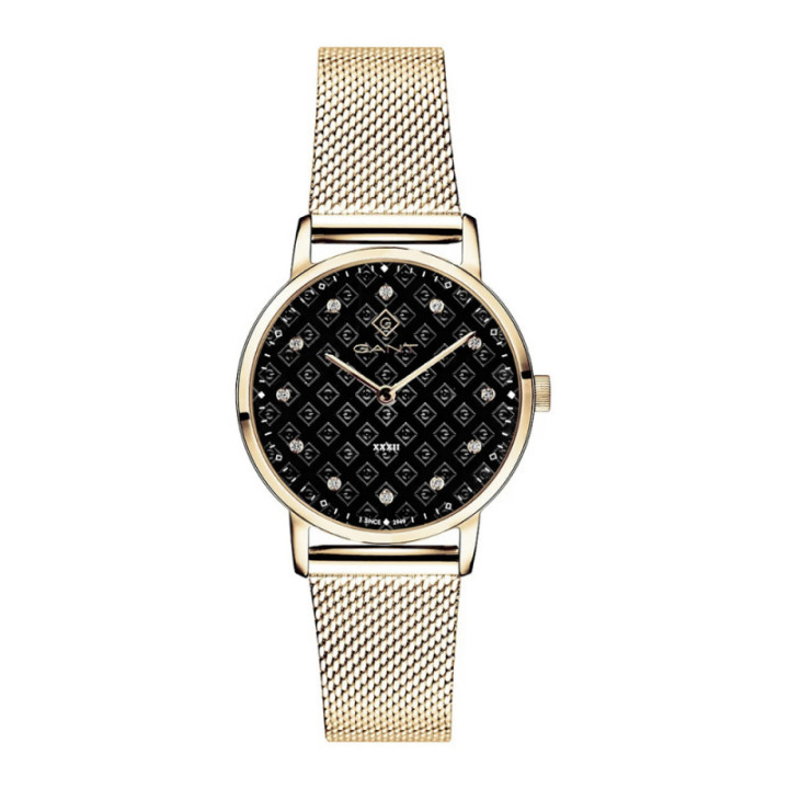 Gant Park Avenue G127017 Montre Femmes